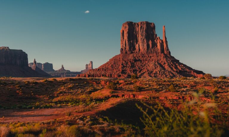 Es-saludable-el-té-de-Arizona