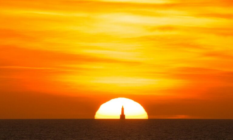 Cuánto-tiempo-tarda-el-té-de-sol