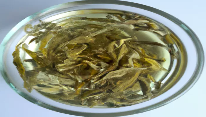 ¿Cuánto tiempo dura bueno el té infusionado?2