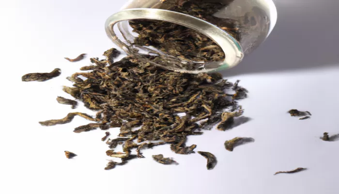 cómo hacer té de menta verde2